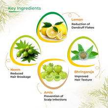 Load image into Gallery viewer, Prisa Organics Herbal Anti Dandruff Shampoo With Conditioner, 300 ml