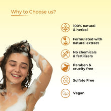 Load image into Gallery viewer, Prisa Organics Herbal Anti Dandruff Shampoo With Conditioner, 300 ml