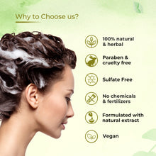 Load image into Gallery viewer, Argan Coconut Shampoo for strong Hair Root and Hair Growth 300ml