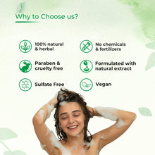 Load image into Gallery viewer, Lemon Bhringraj Hair Nourishing Shampoo with Conditioner, 300ml