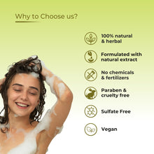 Load image into Gallery viewer, Prisa Organics Olive AloeVera Nourishing Shampoo with Conditioning, 300ml